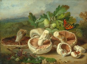 Natura morta con funghi ecc., 1859 da Unknown